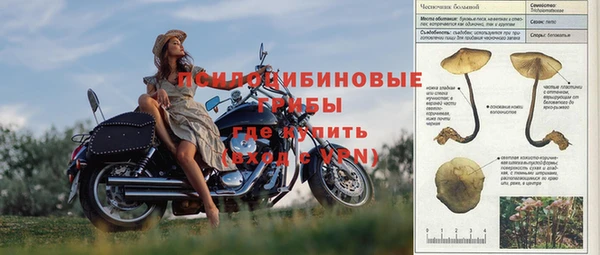 метамфетамин Липки
